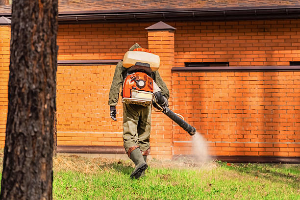Trusted Emergency Pest Control service in Brush Prairie, WA - Nex Pest Control